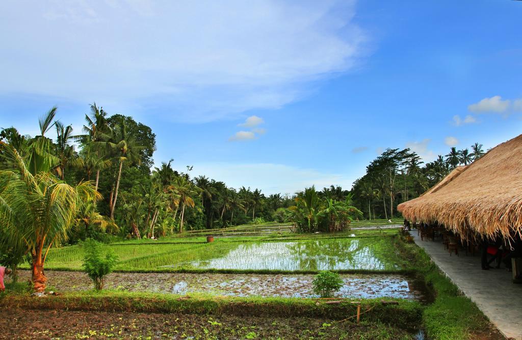 Sapulidi Resort Spa & Gallery Bali Ubud Dış mekan fotoğraf