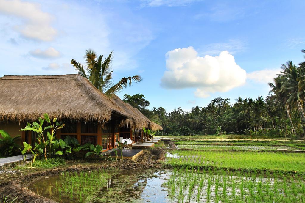 Sapulidi Resort Spa & Gallery Bali Ubud Dış mekan fotoğraf