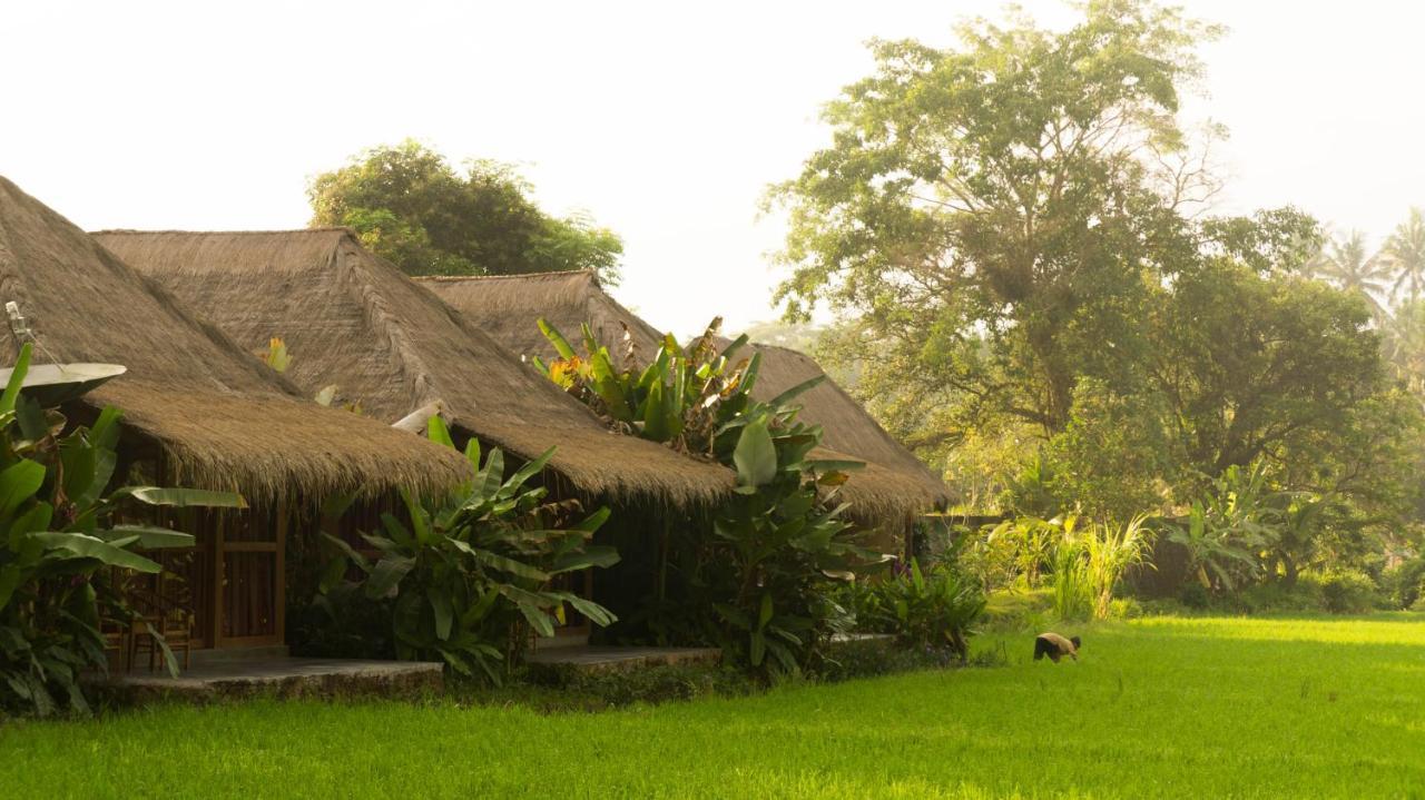 Sapulidi Resort Spa & Gallery Bali Ubud Dış mekan fotoğraf