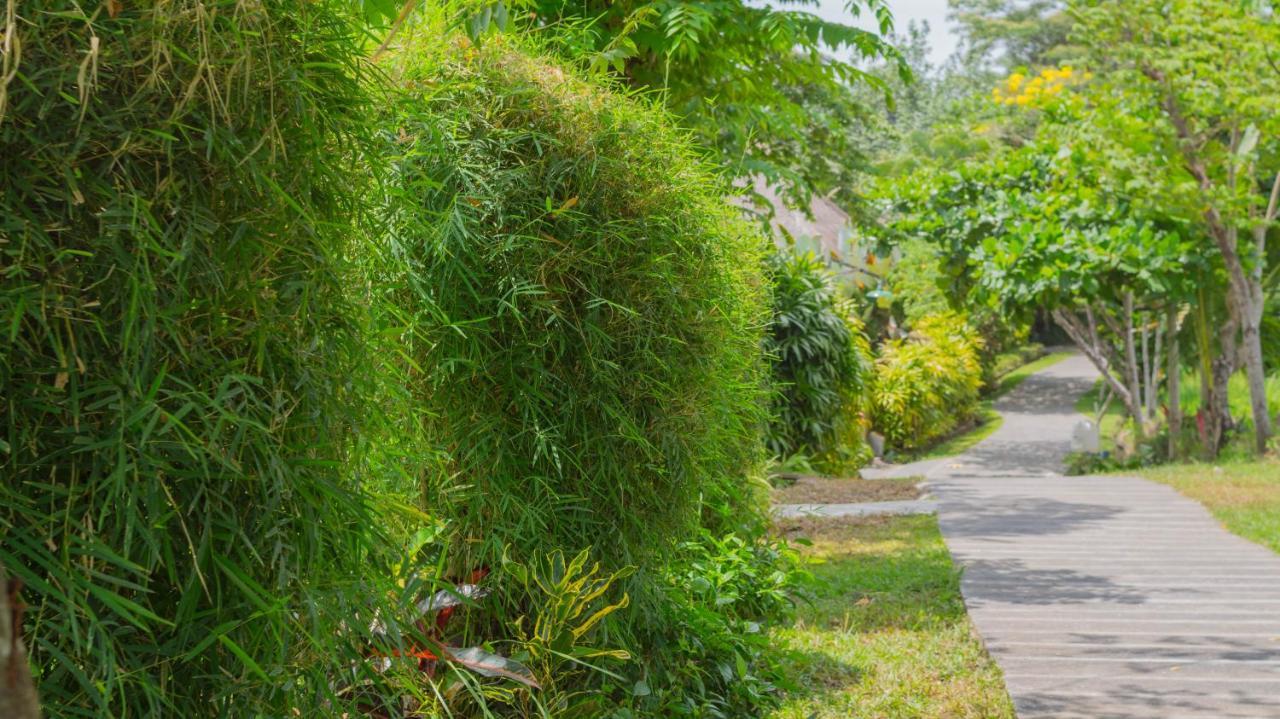 Sapulidi Resort Spa & Gallery Bali Ubud Dış mekan fotoğraf