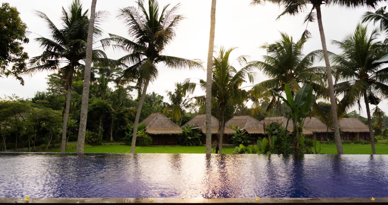 Sapulidi Resort Spa & Gallery Bali Ubud Dış mekan fotoğraf